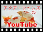 �������ĥ��󥺤�YouTube